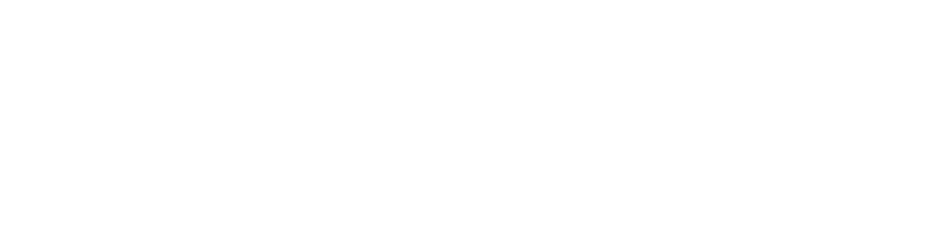 cargowise service partner