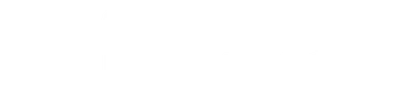 CargoWise Platinum Partner