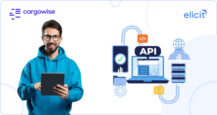 What Is CargoWise API and how to integrate it into your systems