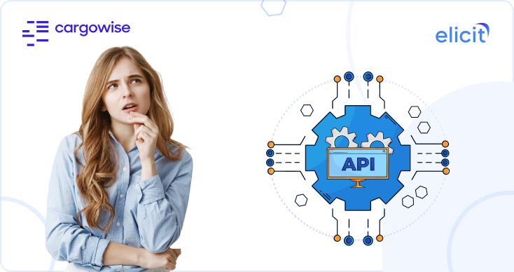 Reasons for API integration service