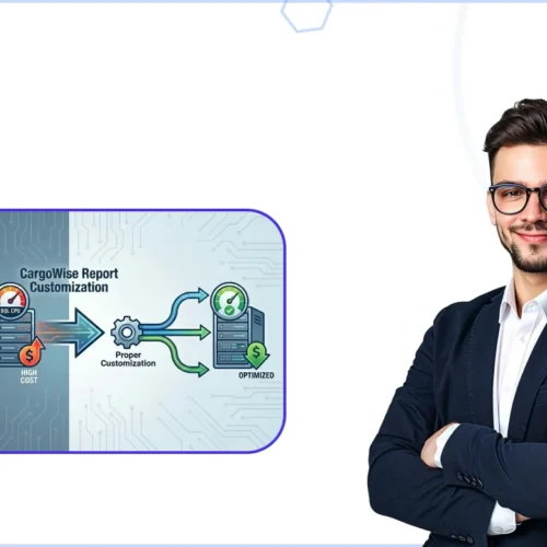 Your CargoWise Reports Increasing SQL CPU Consumption Costs and How can Proper Customization Fix it